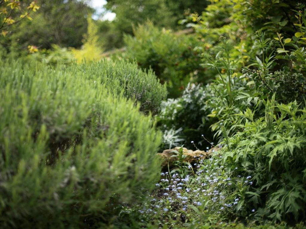 Percy Place Bath Bagian luar foto